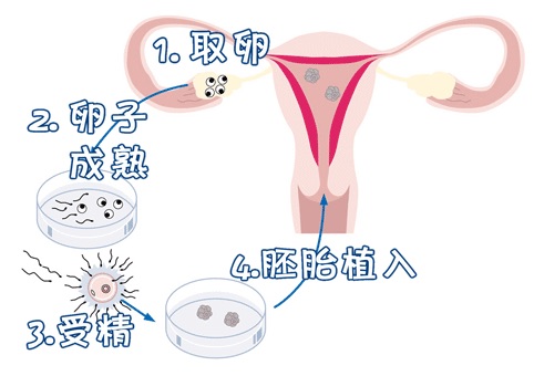 青瓷医疗